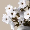 p083_g1 Moutan Peony Bunch — White (8 Stems)