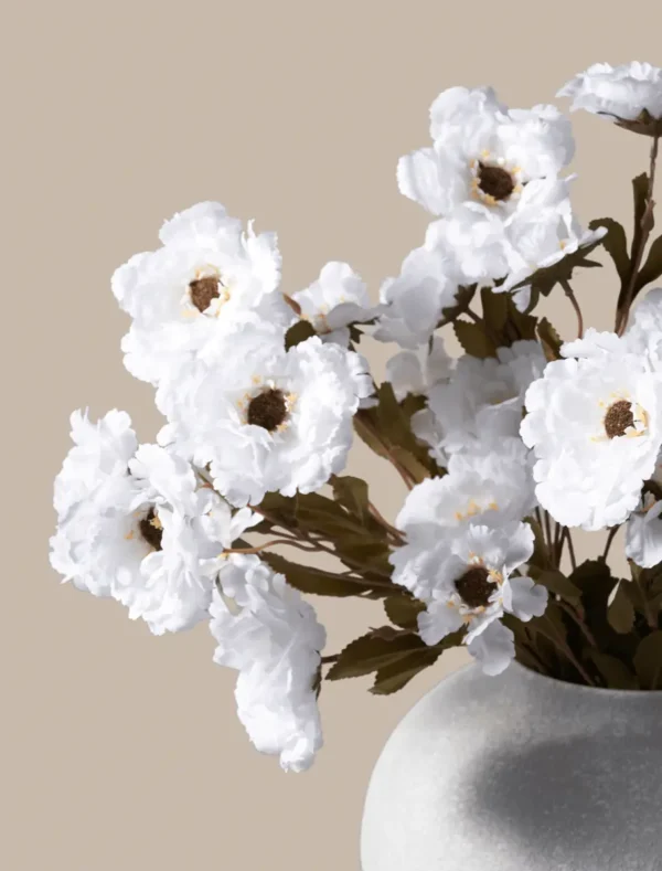 p083_g1 Moutan Peony Bunch — White (8 Stems)