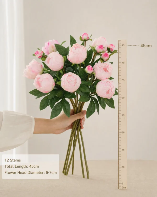 Size Reference - 45cm Scale Stella Premium Real-Touch Faux Peony Stem - Silk Peonies for Home Decor